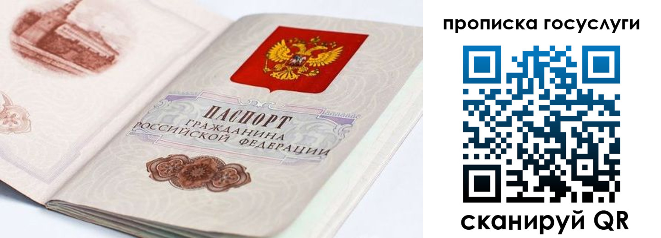 прописка гарантия в Приозерске
